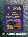 BOEKENSET - FOTOBOEKEN CACTUSSEN  (3 boeken)